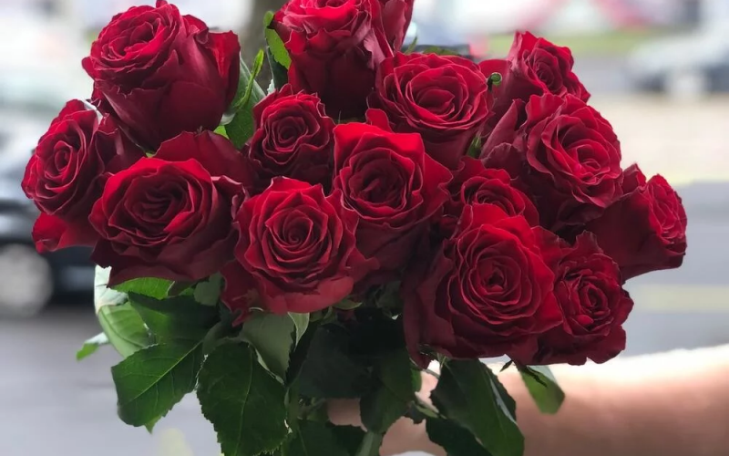 Букет «Родос» #133 из 15 красных роз сорта «Родос»