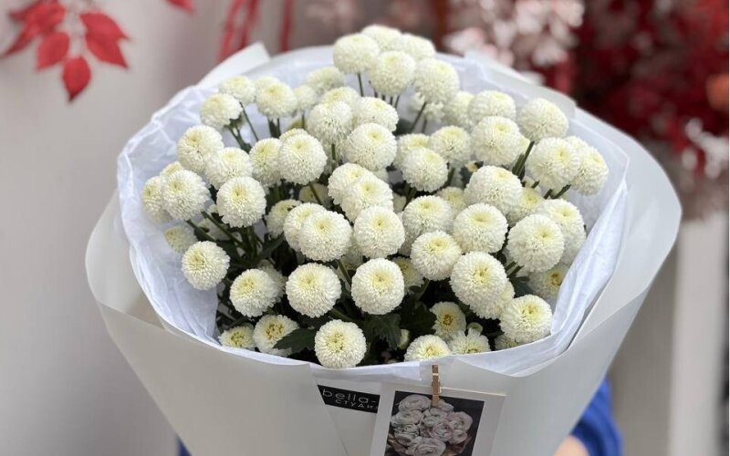 Моно букет из хризантемы кустовой «Ньютон»