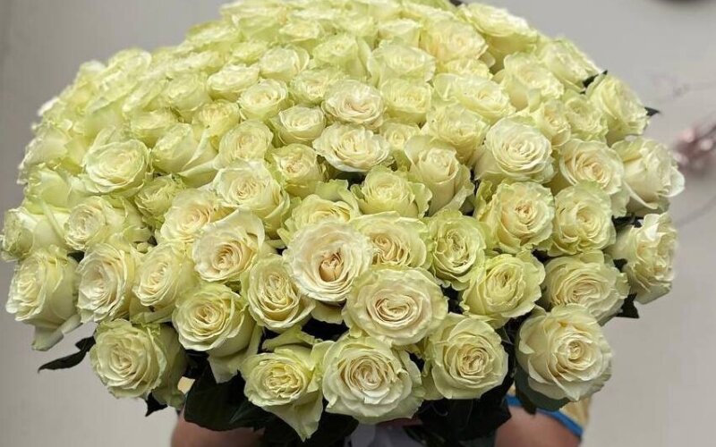 Букет из 101 белой розы «Эквадор»