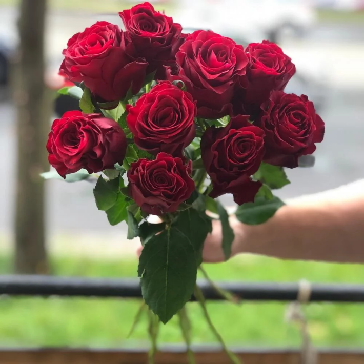 Букет «Родос» #132 из 9 красных роз сорта «Родос»