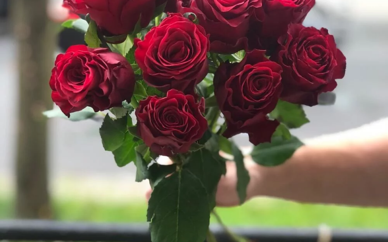 Букет «Родос» #132 из 9 красных роз сорта «Родос»