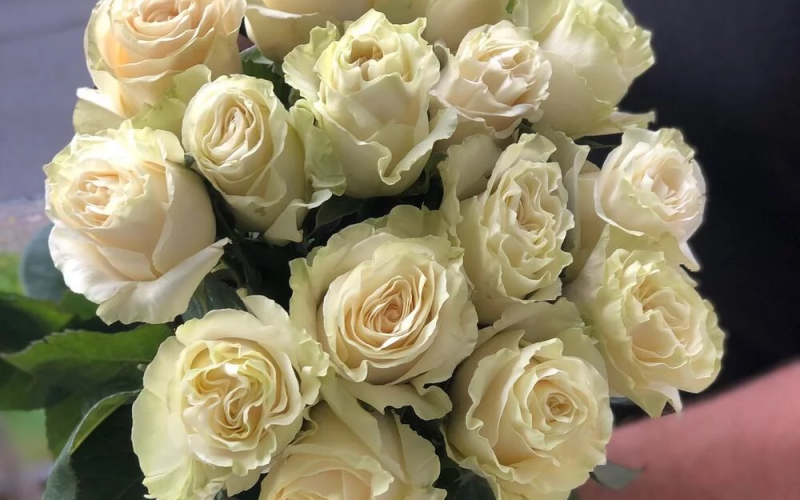 Букет «Мондиаль» #127 из 15 роз сорта «Мондиаль»