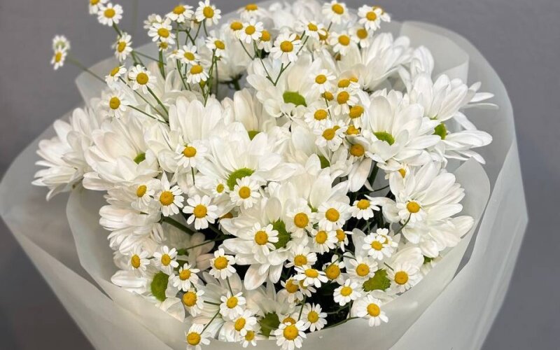 Букет из ромашковой хризантемы и танацетум