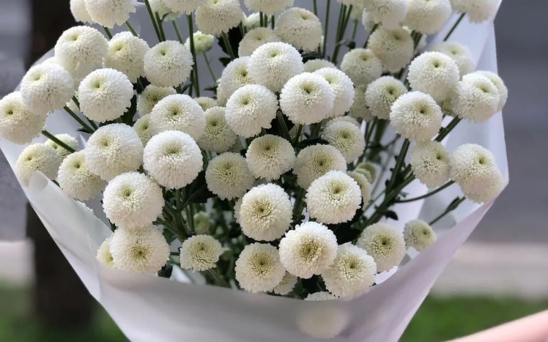 Букет «Облачко» #155 из 9 хризантем «Ньютон»