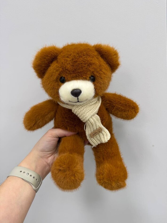 Плюшевый мишка