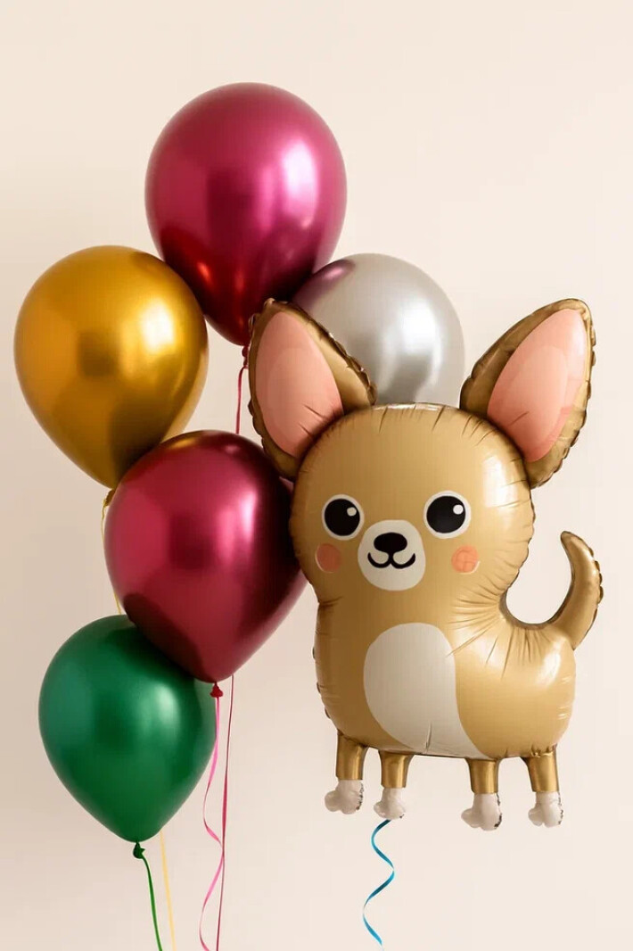 Сет из 5 воздушных шаров и собачки