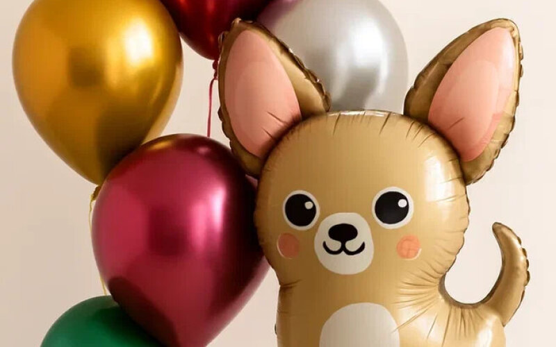 Сет из 5 воздушных шаров и собачки