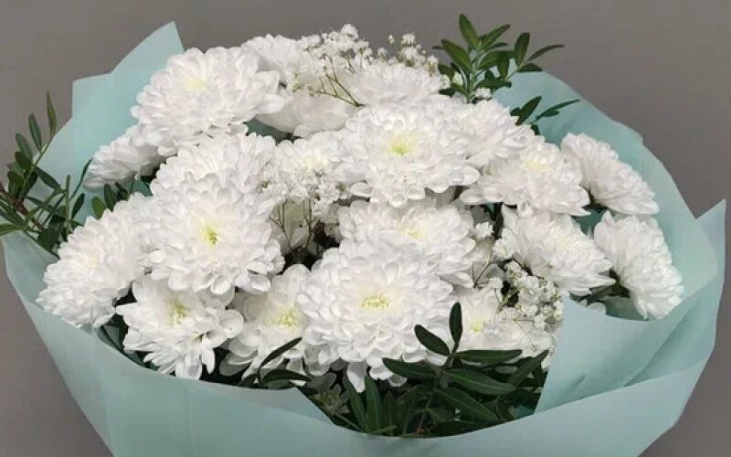 Букет из хризантемы «Алтай» с зеленью и гипсофилой