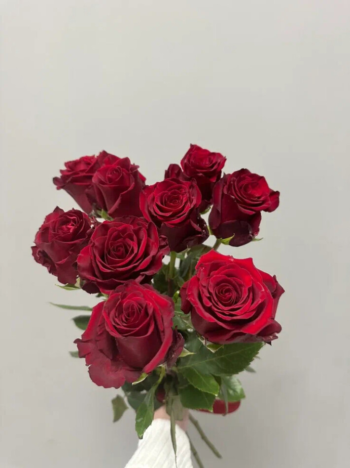 Букет из 9 красных роз