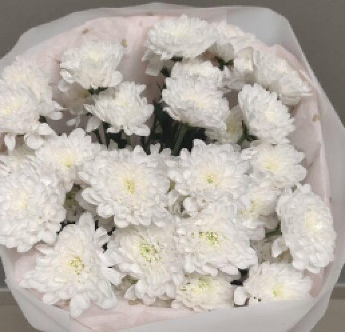 Букет из 5 хризантем