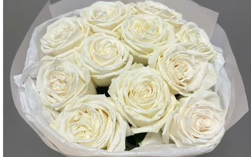 Букет из 11 белых роз