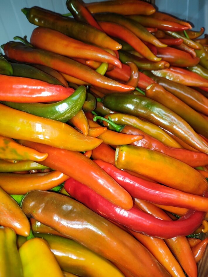 Перец острый