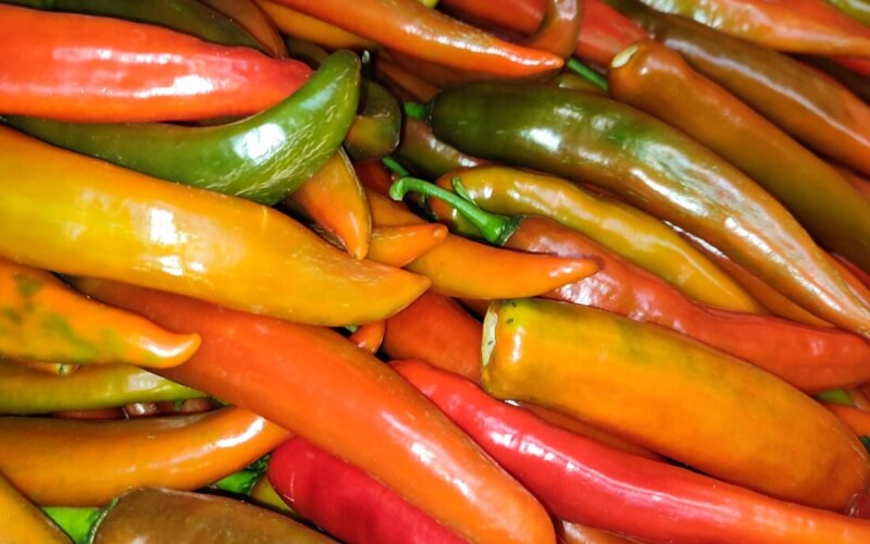 Перец острый