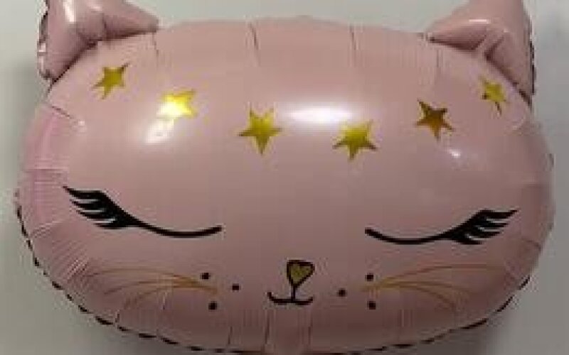 Шар «Котик»