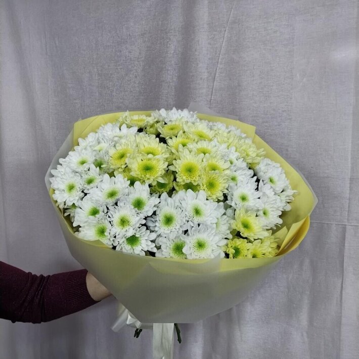 Букет из хризантемы кустовой «Радость»