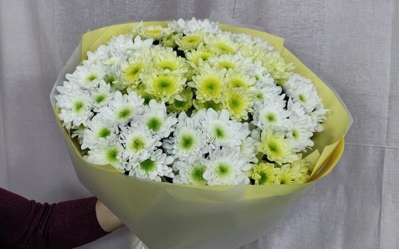 Букет из хризантемы кустовой «Радость»