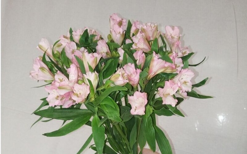 Букет «Мечта»