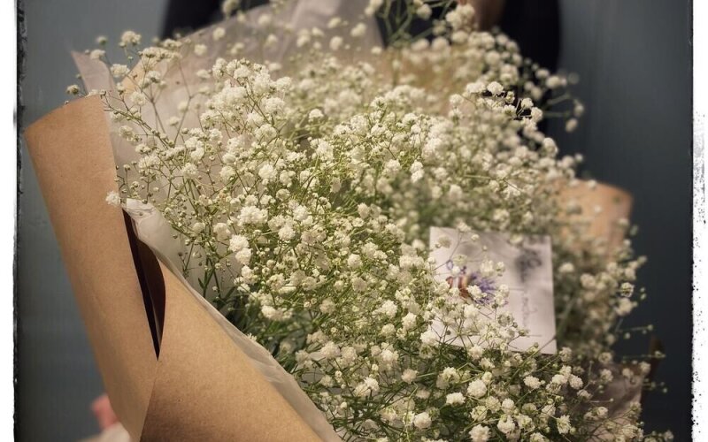 Букет из гипсофил