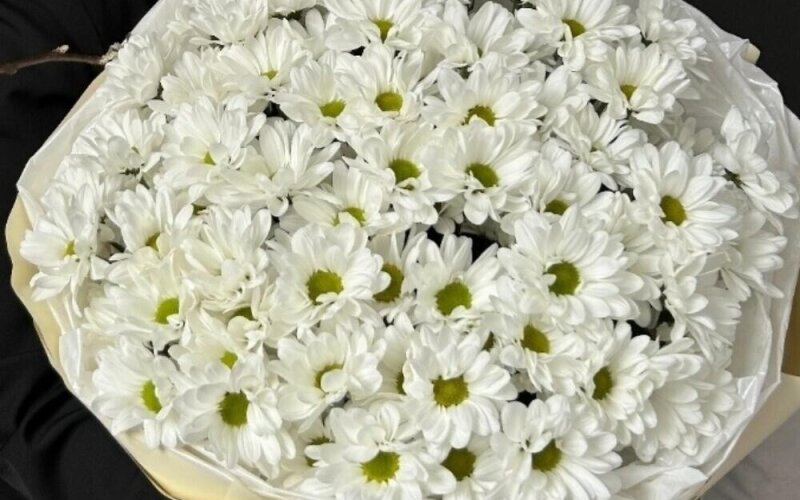 Букет «Охапка» из ромашек