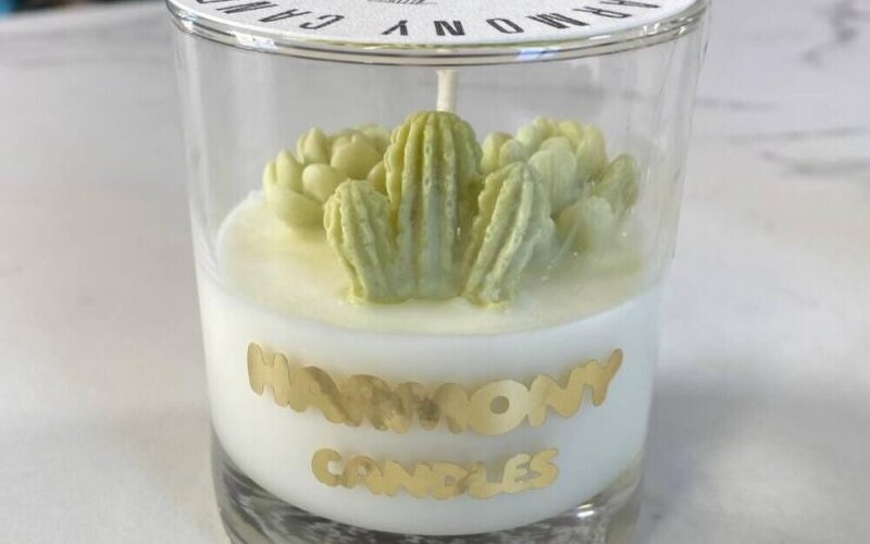 Свеча «Кактусы»