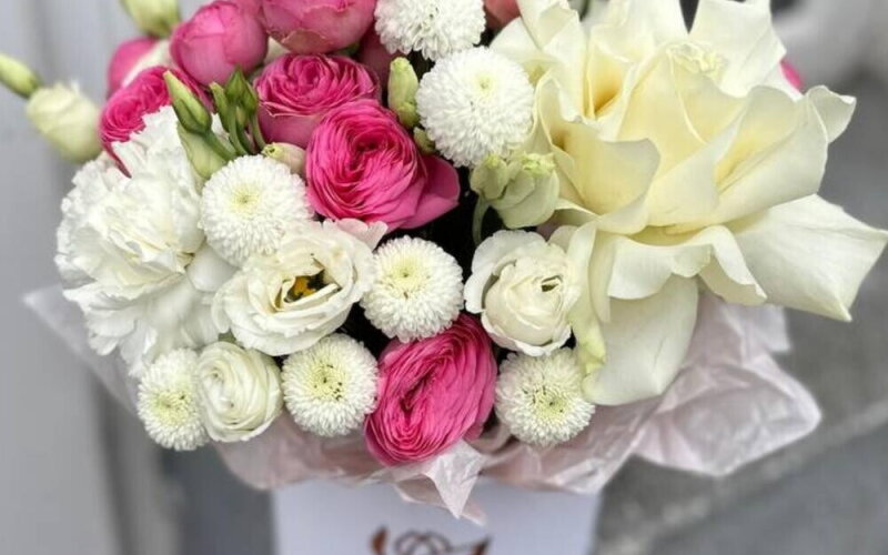 Композиция «Без повода»