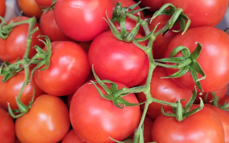 Томат ветка