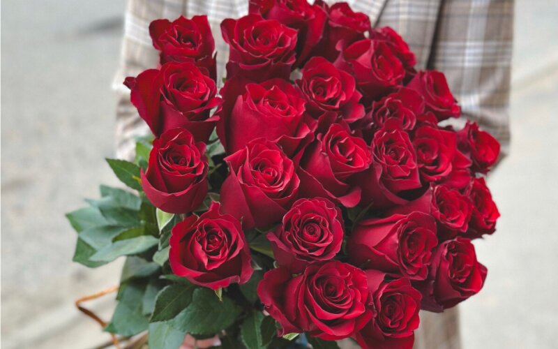 25 красных роз