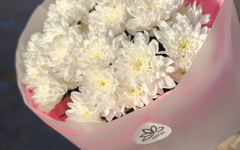 Букет белых хризантем