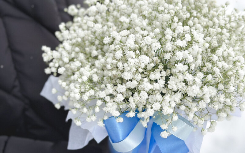 Коробка с белой гипсофилой