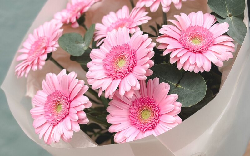 Букет гербер pink