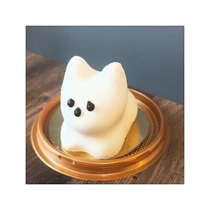 Панна-котик