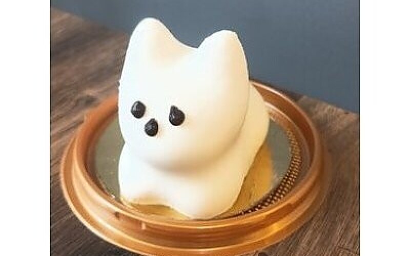 Панна-котик