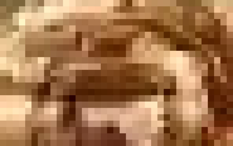 Бургер «Двойной сырный»