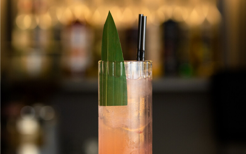 Лимонад «Гранат-малина»