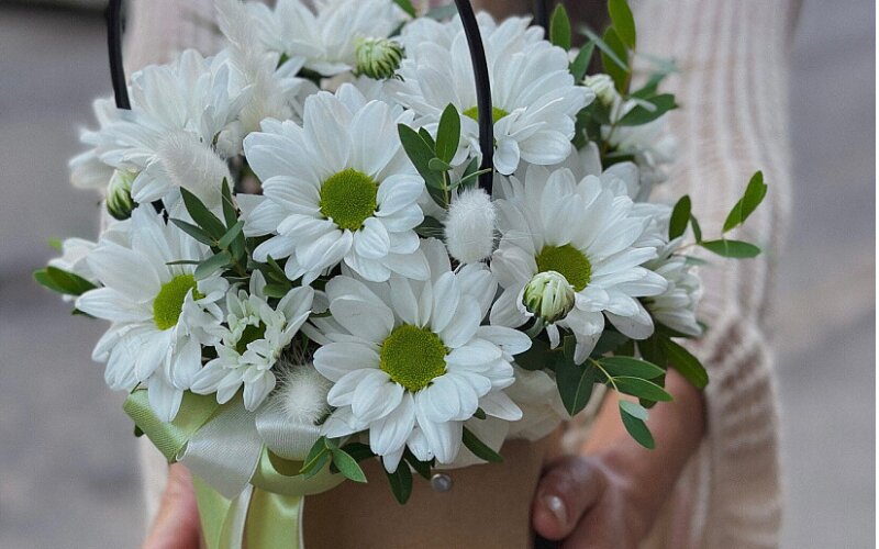 Сумочка с белыми ромашками