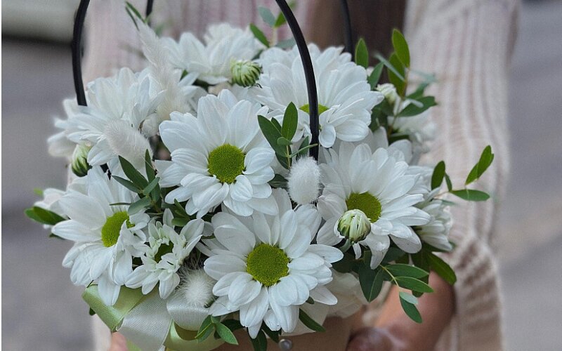 Сумочка с белыми ромашками