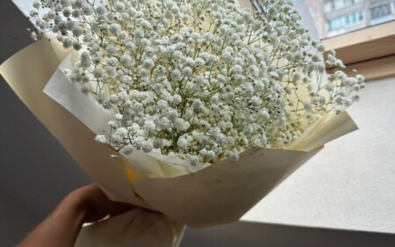 Букет гипсофил