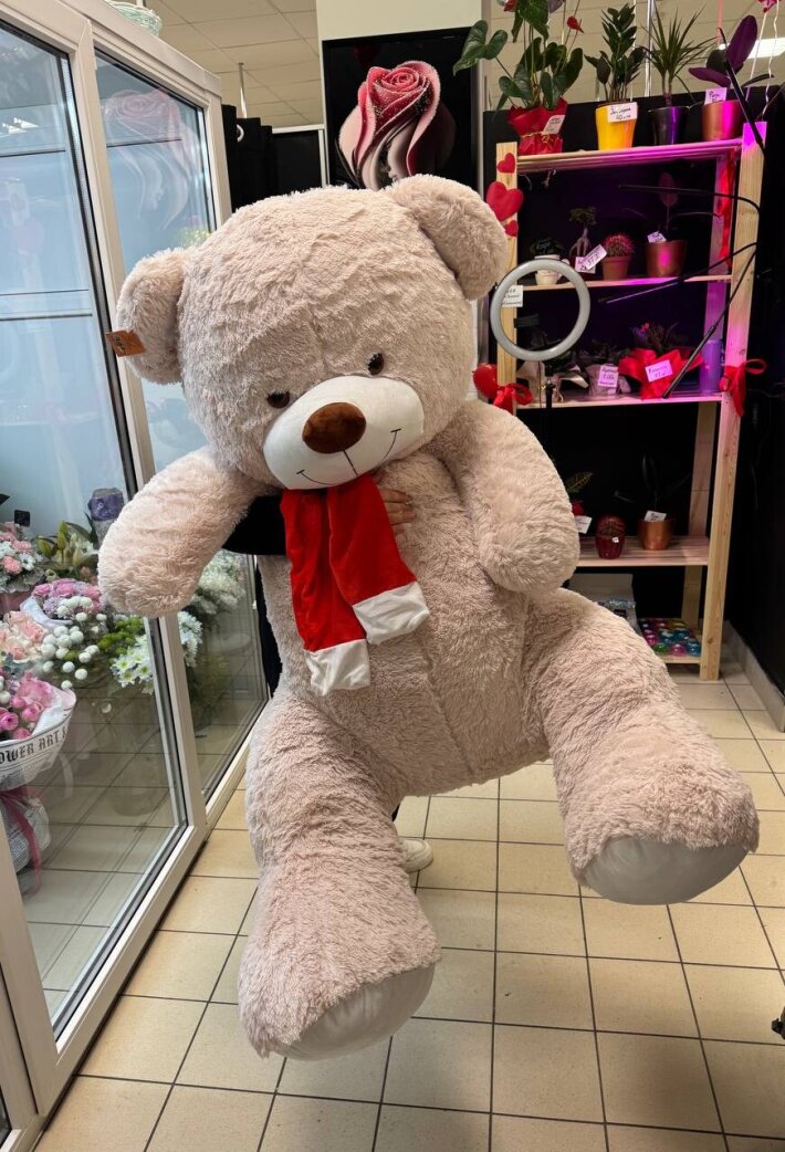 Игрушка Медведь плюшевый 170 см