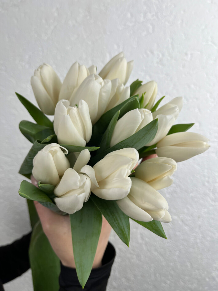 15 белых тюльпанов
