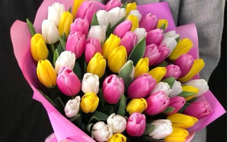 61 тюльпан «Микс»