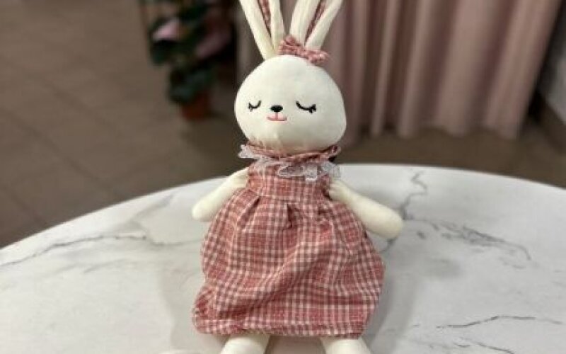 Мягкая игрушка Зая Соня большой