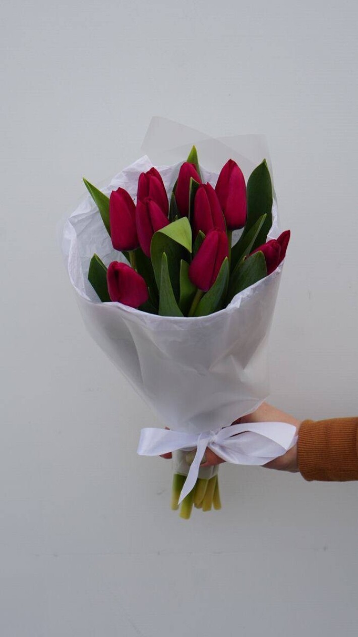 9 красных тюльпанов