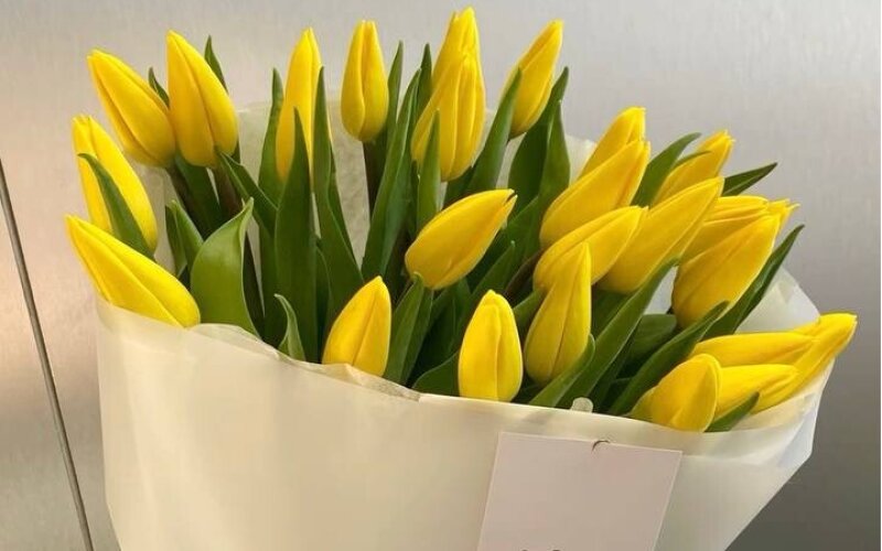 23 жёлтых тюльпана