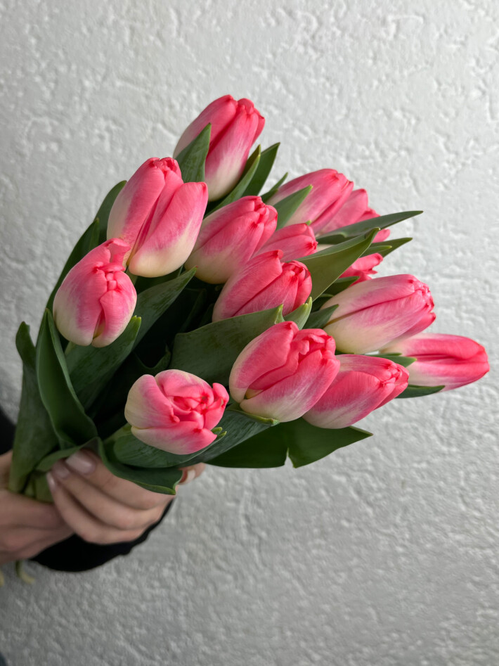 15 бело-розовых тюльпанов