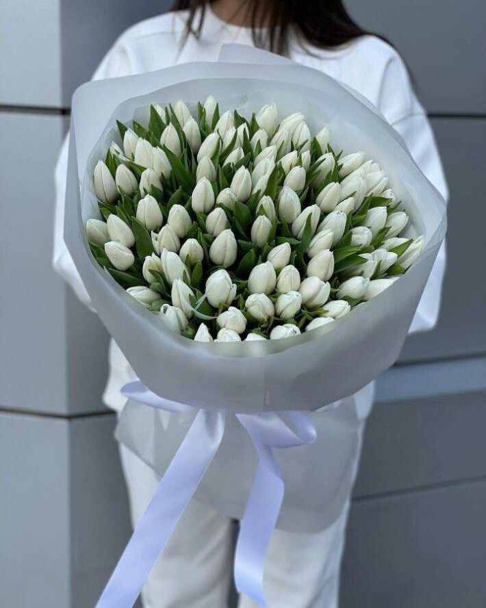 51 белый тюльпан