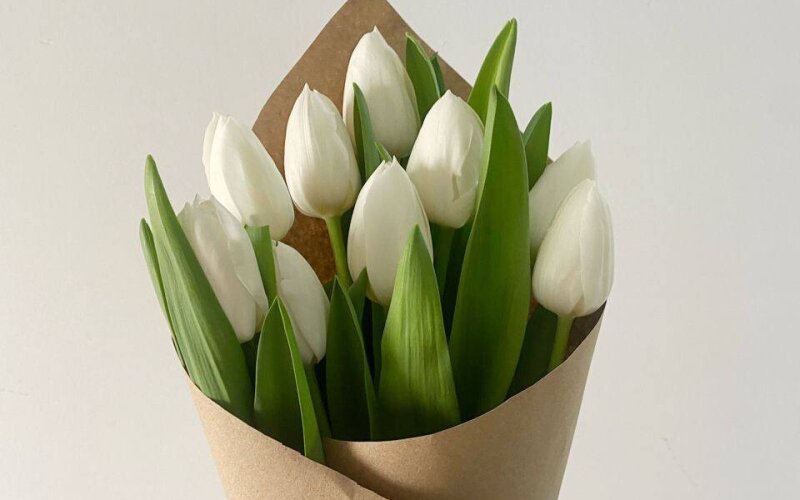 9 белых тюльпанов