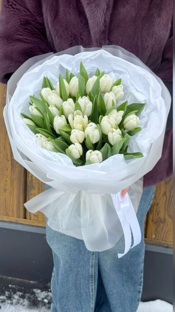 25 белых тюльпанов