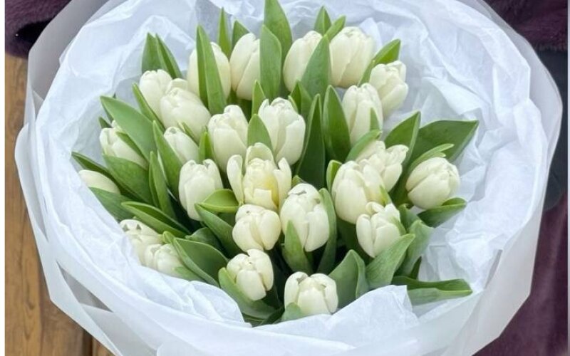 25 белых тюльпанов