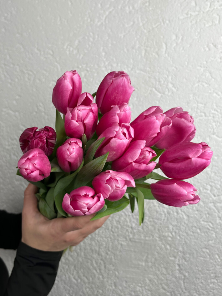 15 розовых тюльпанов