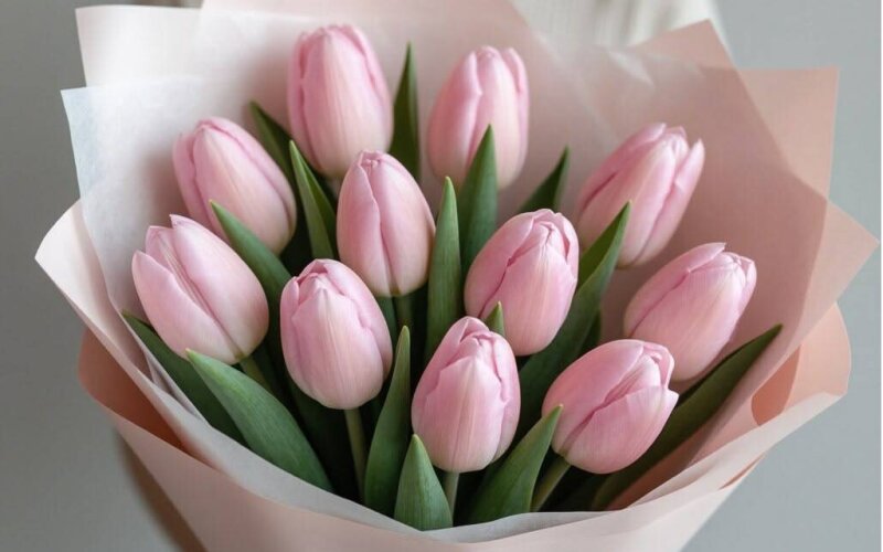 11 тюльпанов